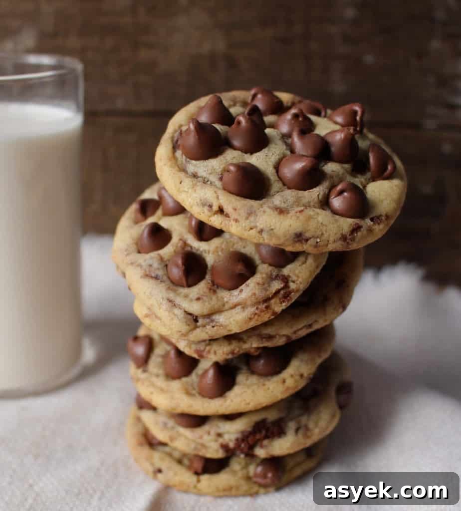 Brownie Brittle Chocolate Chip Cookies