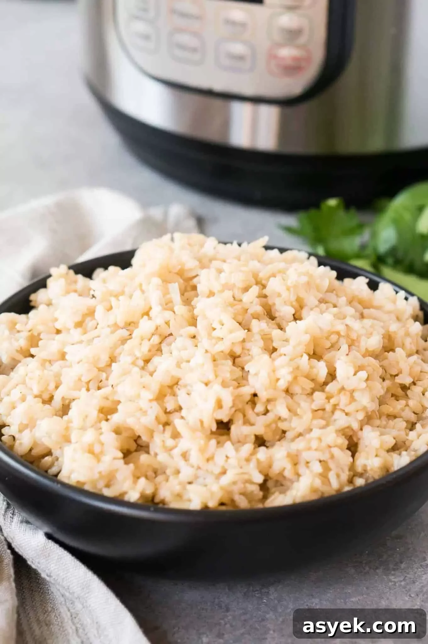 Fluffy Instant Pot Brown Rice in 20 Minutes 2 brown rice cooked in instant pot