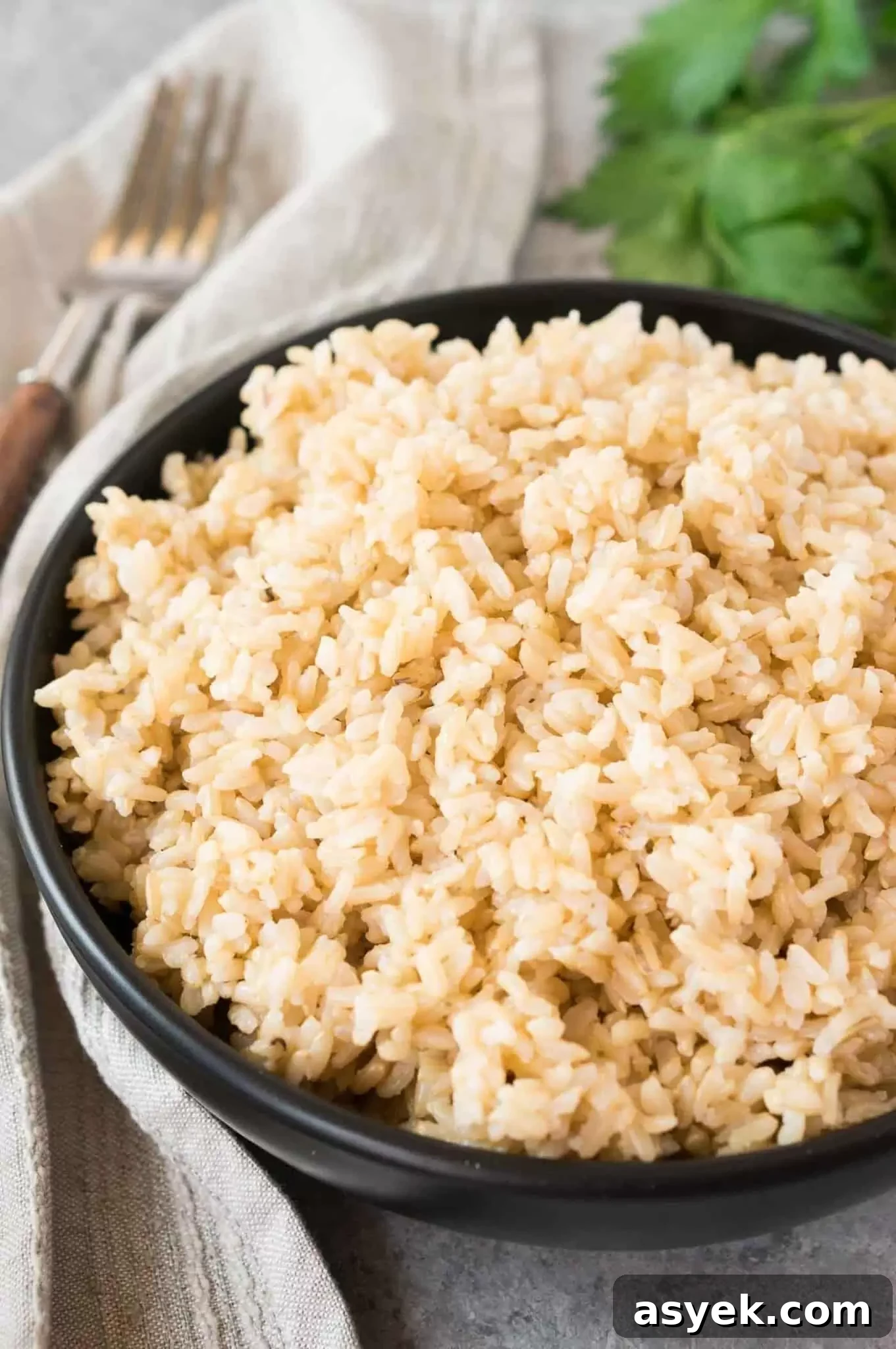 Fluffy Instant Pot Brown Rice in 20 Minutes 6 close up image of cooked brown rice in a bowl