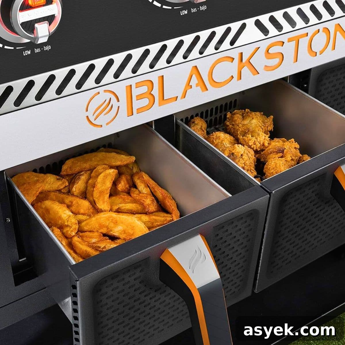 5 Must-Try Recipes for Your Blackstone Air Fryer 2 The 5 Best Blackstone Air Fryer Recipes To Try Today featured image