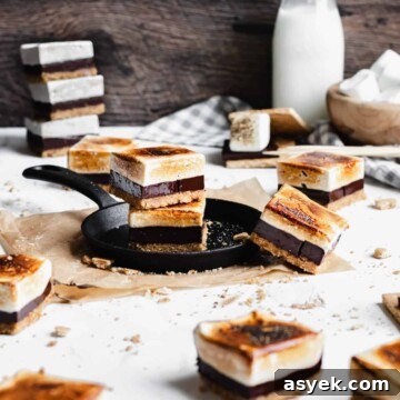 Brown Butter Peach Crumble Bars Recipe 16 Smores bars scattered across the scene.
