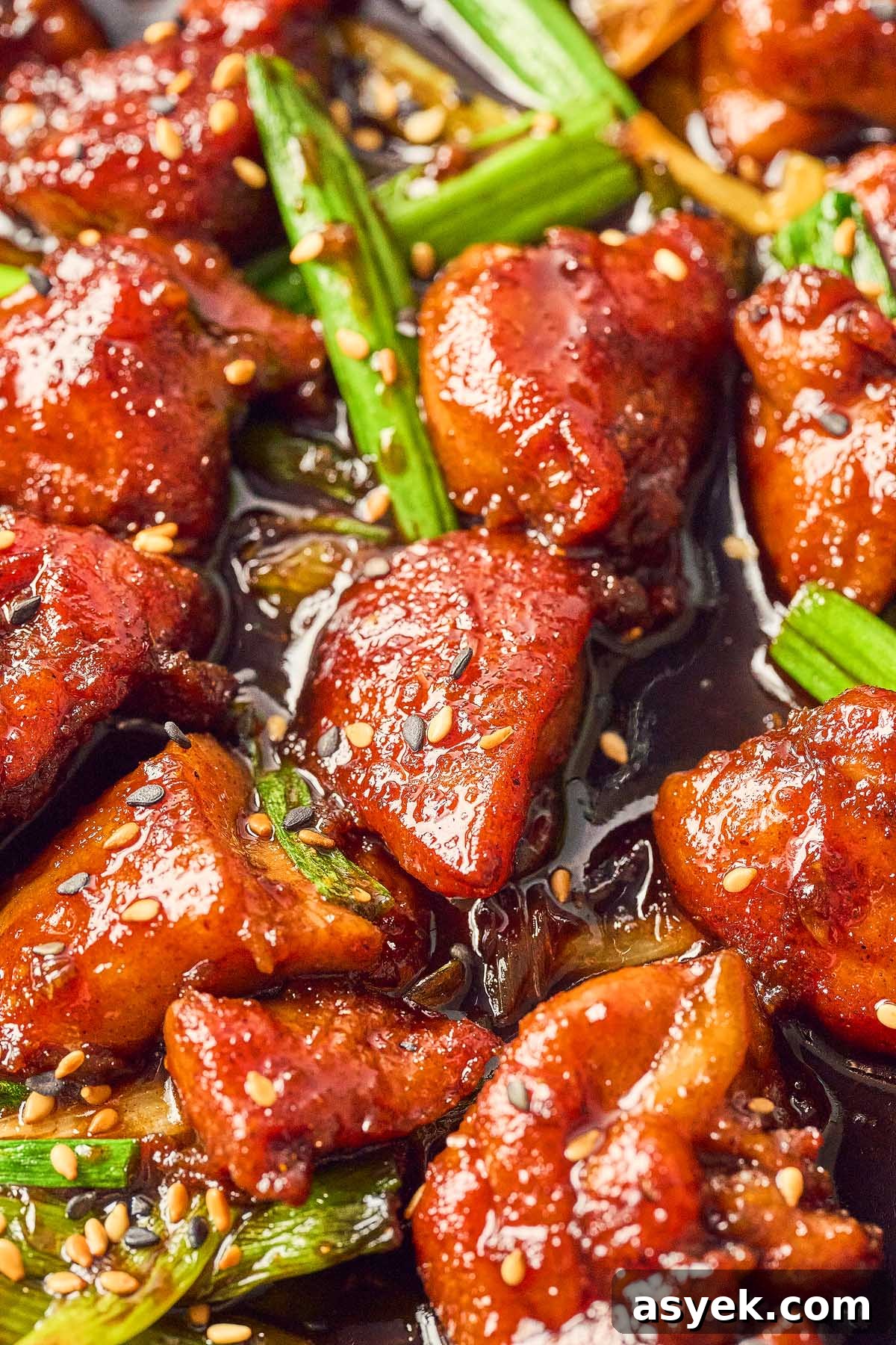 Close-up of Five Spice Chicken Stir Fry: glazed meat pieces mixed with green onions and sesame seeds, all deliciously coated in a rich sauce.