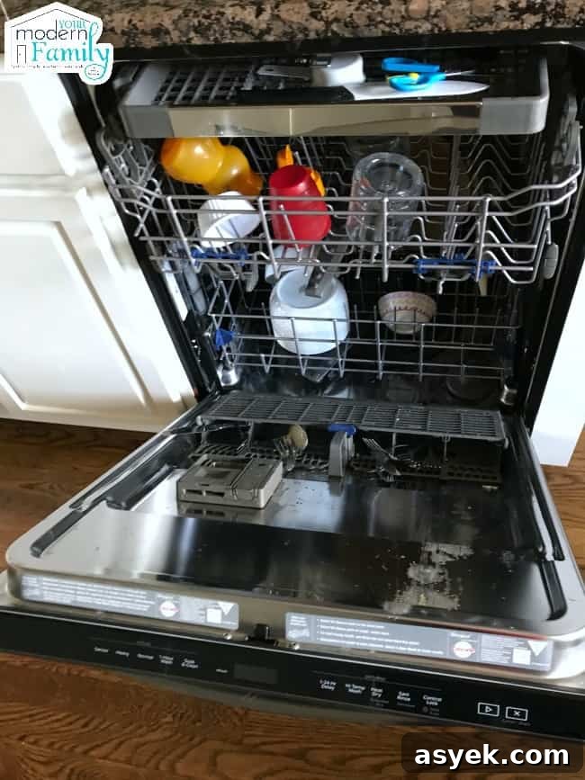 An open dishwasher filled with clean dishes.