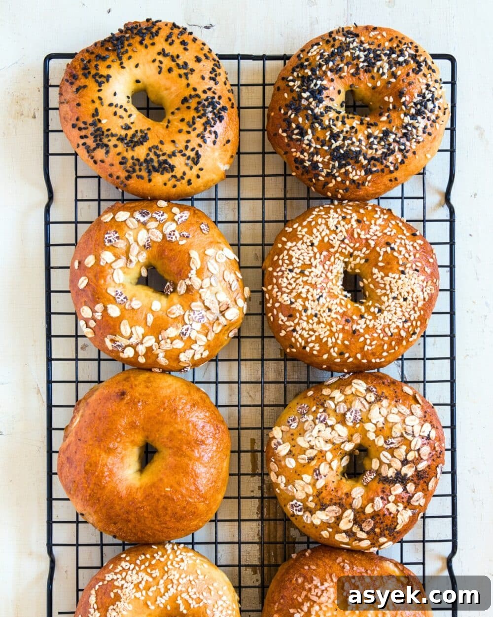 assorted cottage cheese bagels on a cooling rack