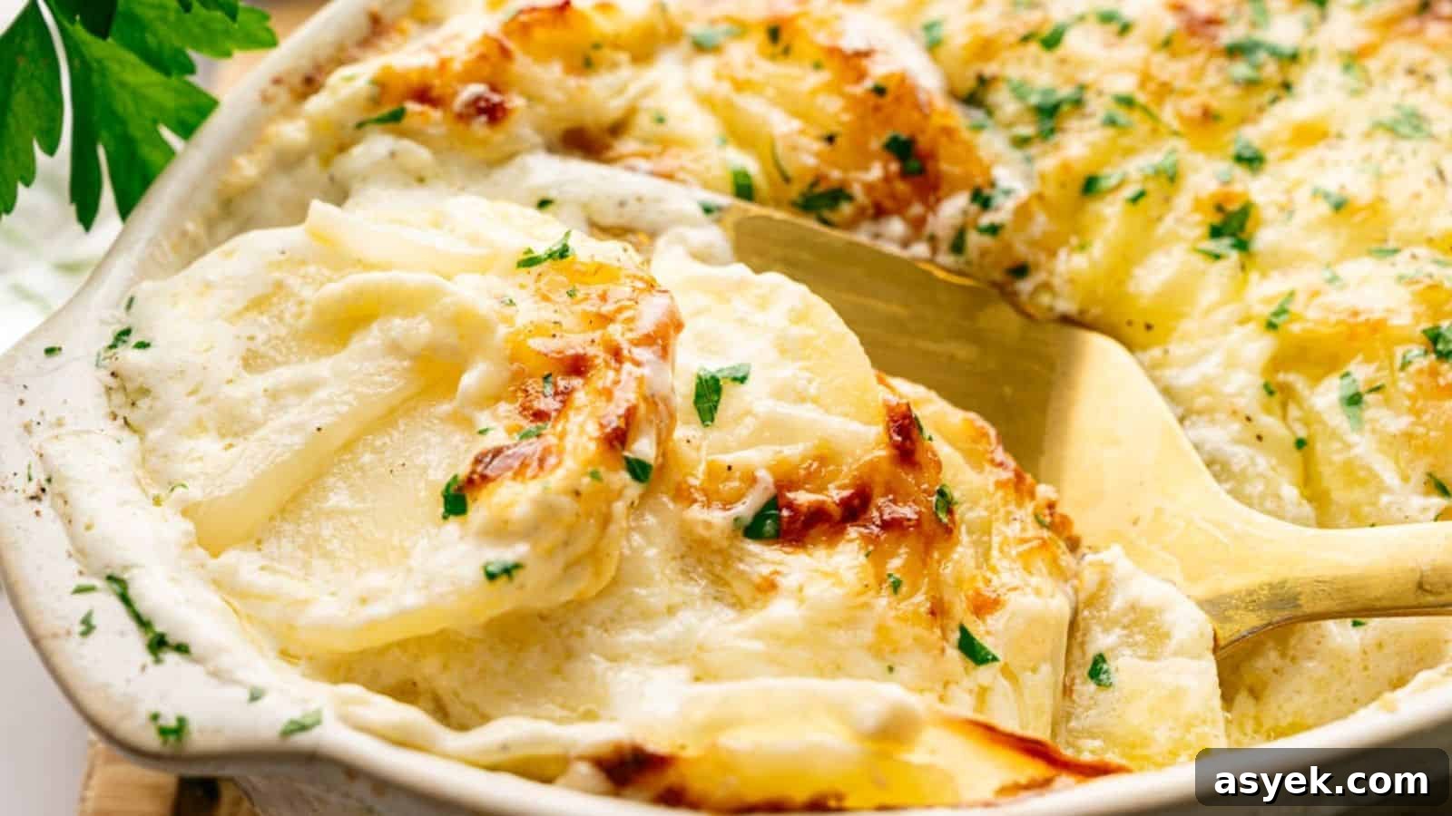 A close-up of creamy, baked scalloped potatoes with melted cheese, garnished with chopped parsley, in a white baking dish with a serving spoon.
