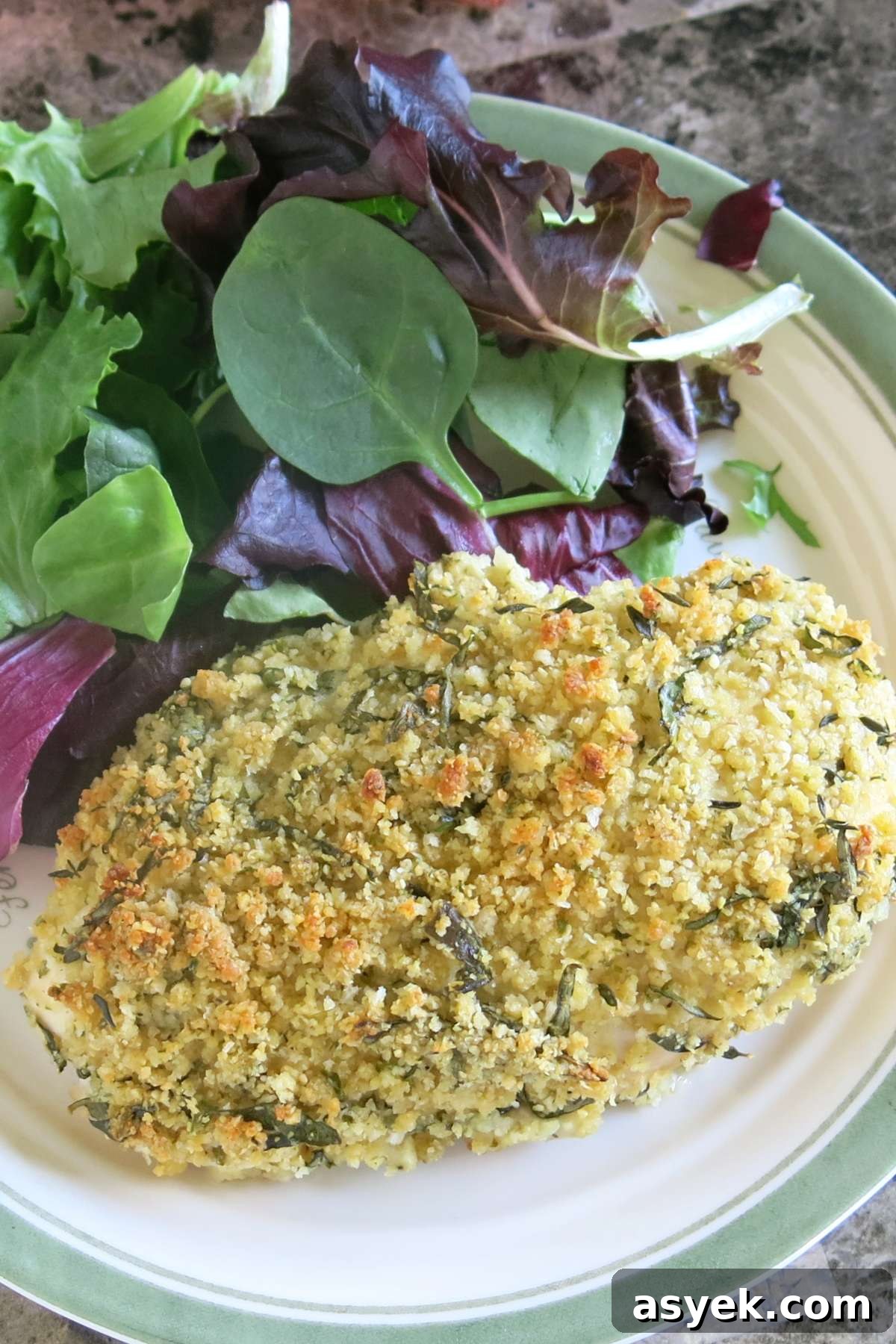 Crispy Parmesan Herb-Crusted Chicken Recipe 7 Close-up view of Parmesan and Herb Crusted Chicken on a plate.
