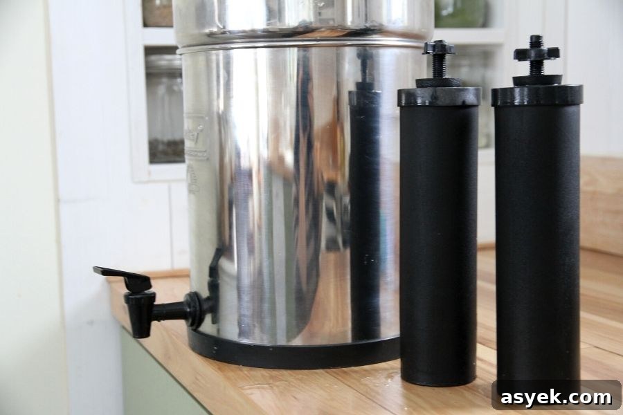 Two Berkey Black filters sitting outside the Berkey silver canister