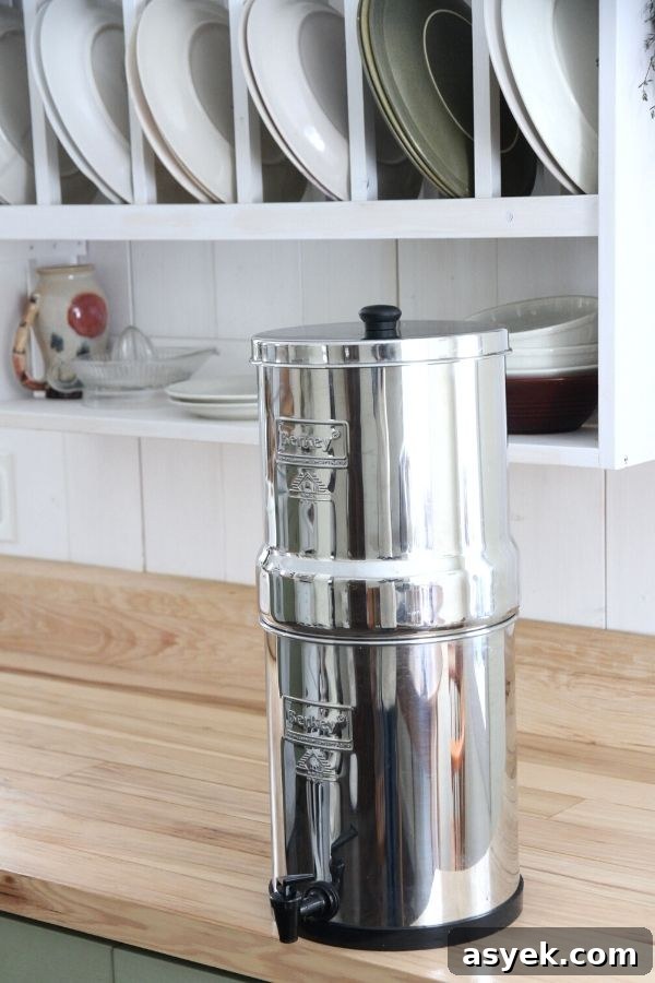 A primed and assembled Big Berkey water filter sitting on the kitchen counter