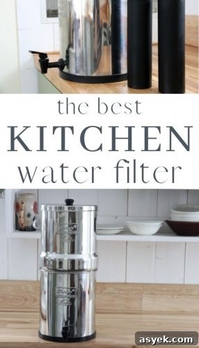 The best water filter system for the home is the Berkey water filter. Berkey water tastes amazing and the filters last for a long time, which makes it one of the most affordable filters on the market!