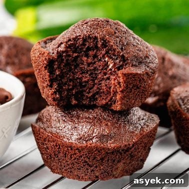 Moist Chocolate Zucchini Cake Recipe 17 Chocolate Zucchini Muffins