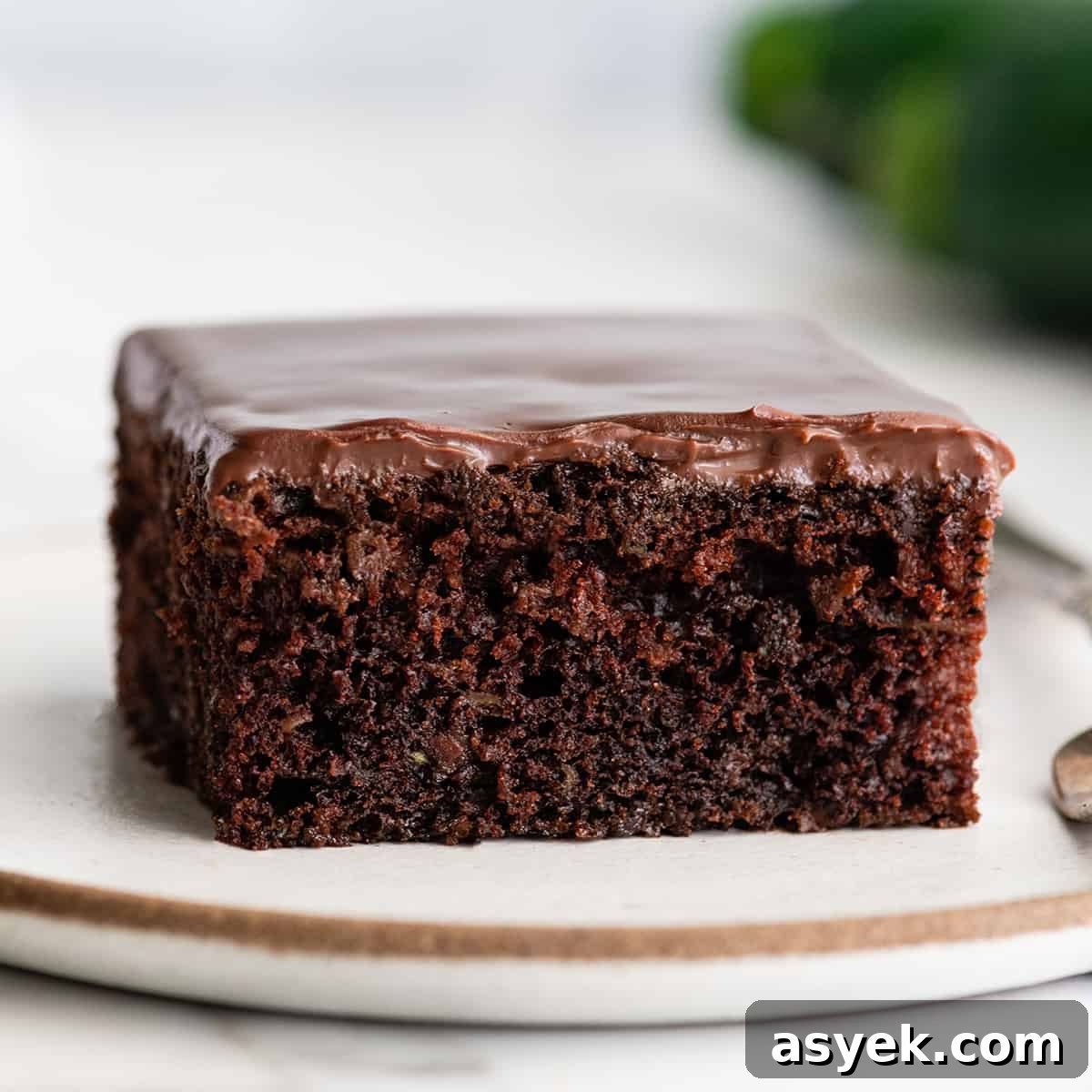 Moist Chocolate Zucchini Cake Recipe 2 front view of a piece of chocolate zucchini cake with chocolate ganache