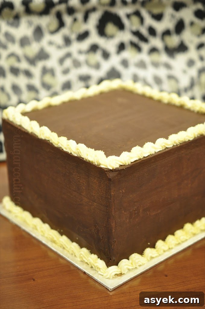 Poppy Patchwork Chocolate Coconut Cake
