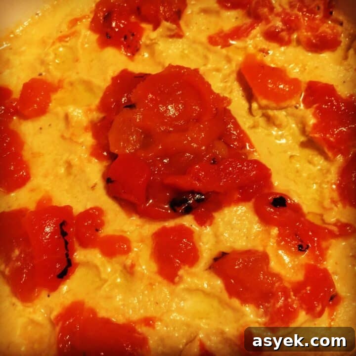 Instant Pot Hummus