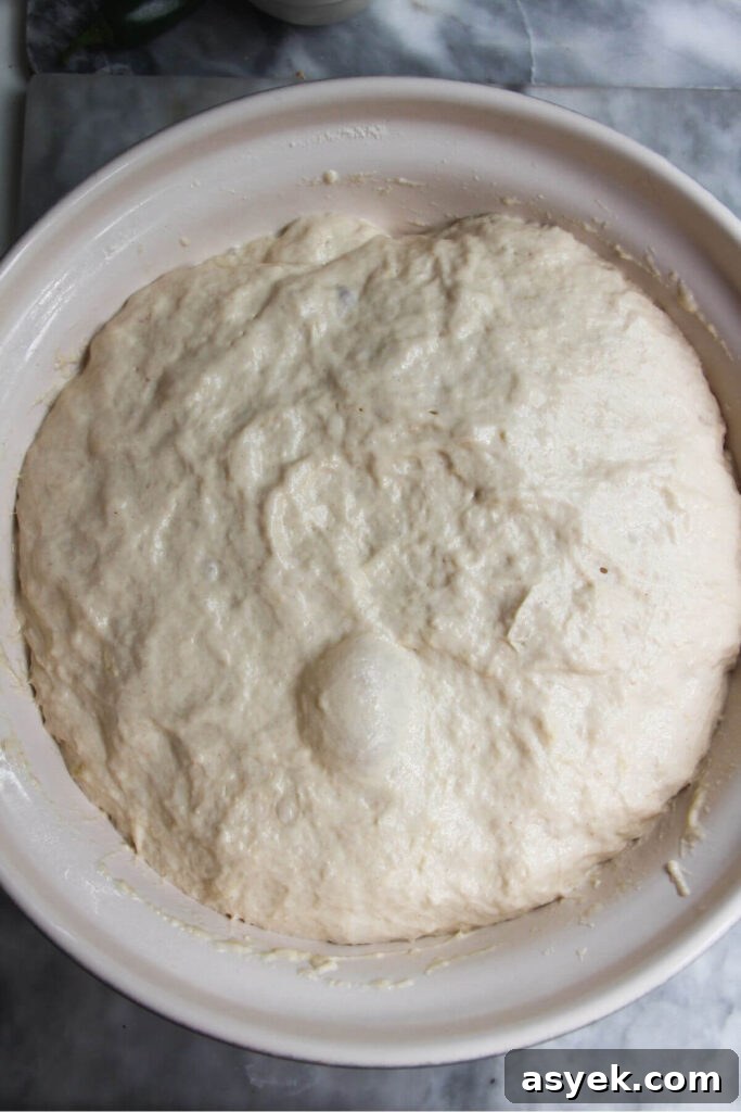 Pepperoni Focaccia Pizza Bread with Crispy Cheese Crust 5 Focaccia dough risen in a large mixing bowl.