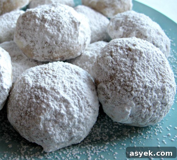 Cinnamon Snowball Cookies- crunchy cinnamon butter cookies coated in powdered sugar! |The Monday Box Cinnamon Snowball Cookies- crunchy cinnamon butter cookies coated in powdered sugar! |The Monday Box