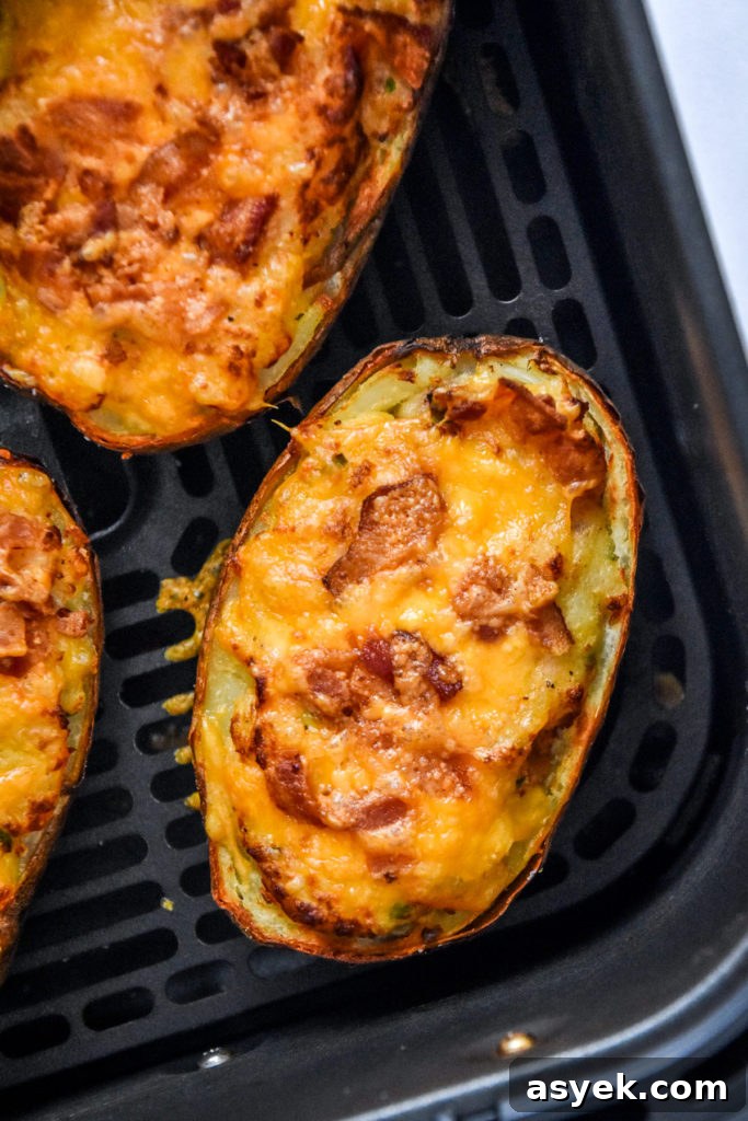 air fryer twice baked potatoes in the basket with golden crispy cheese on top.