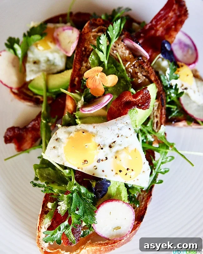 avocado toast at campo restaurant in albuquerque