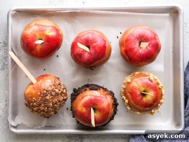 How to Make Caramel Apples: Homemade Recipe 8 dipped caramel apples on a tray