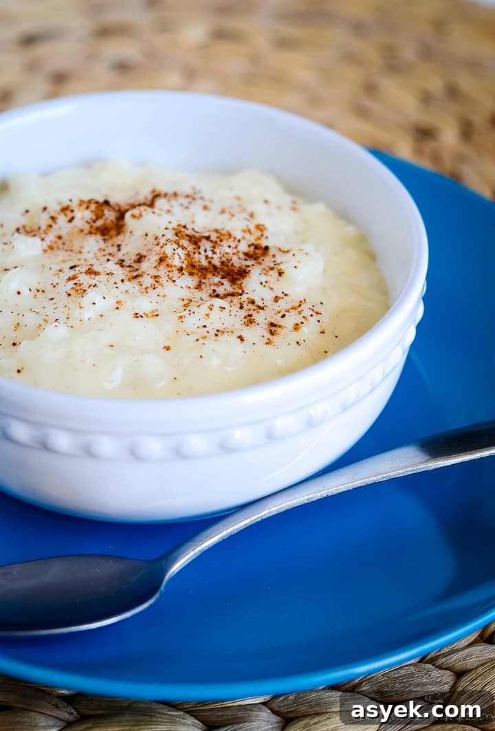 creamy stovetop rice pudding sprinkled with nutmeg