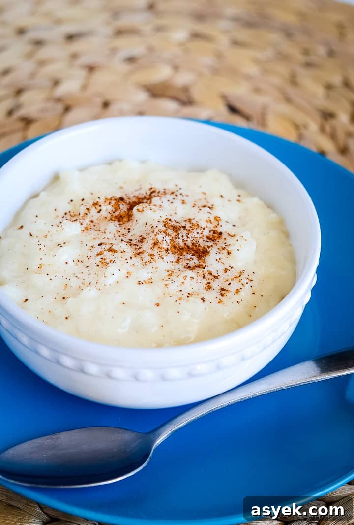 bowl of rice pudding on a blue plate