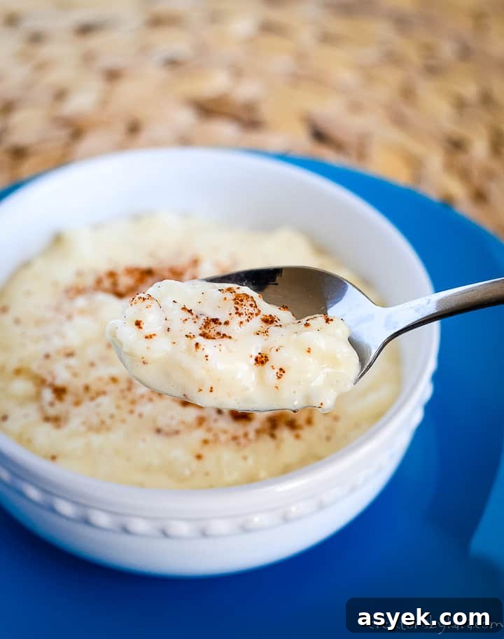 bowl of creamy rice pudding