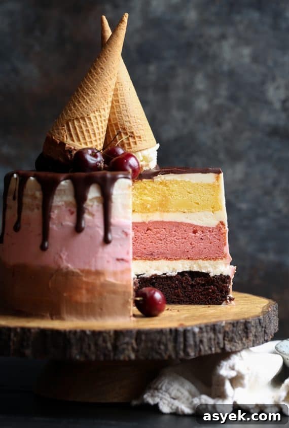 Neapolitan Layer Cake with Chocolate, Vanilla and Strawberry 3 Neapolitan Cake