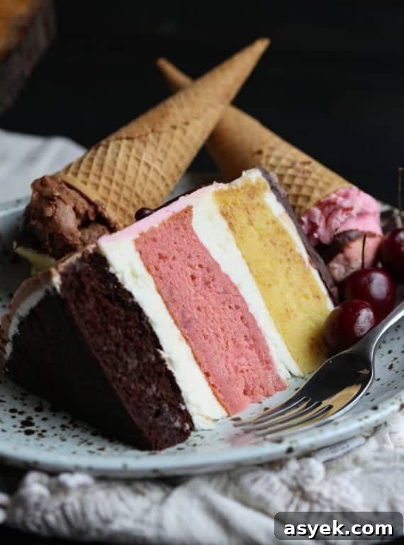 Neapolitan Cake