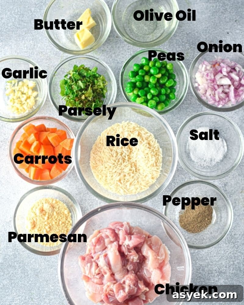 Creamy Instant Pot Chicken and Rice Casserole 3 ingredients to make chicken and rice
