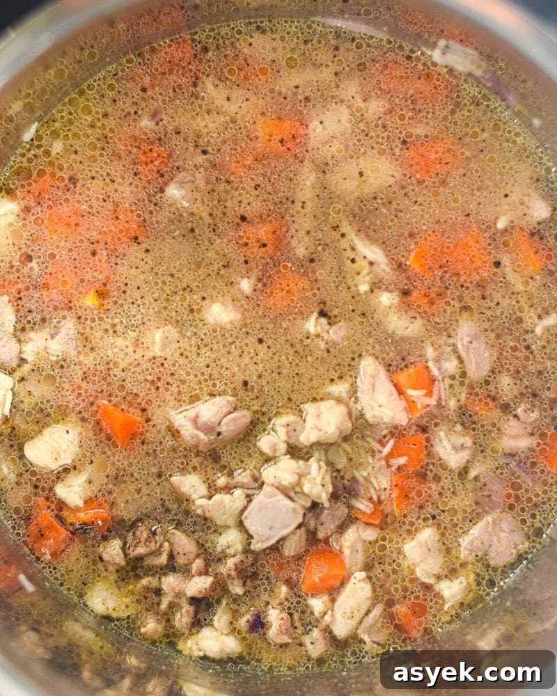 Creamy Instant Pot Chicken and Rice Casserole 5 chicken and rice ready to cook in the instant pot
