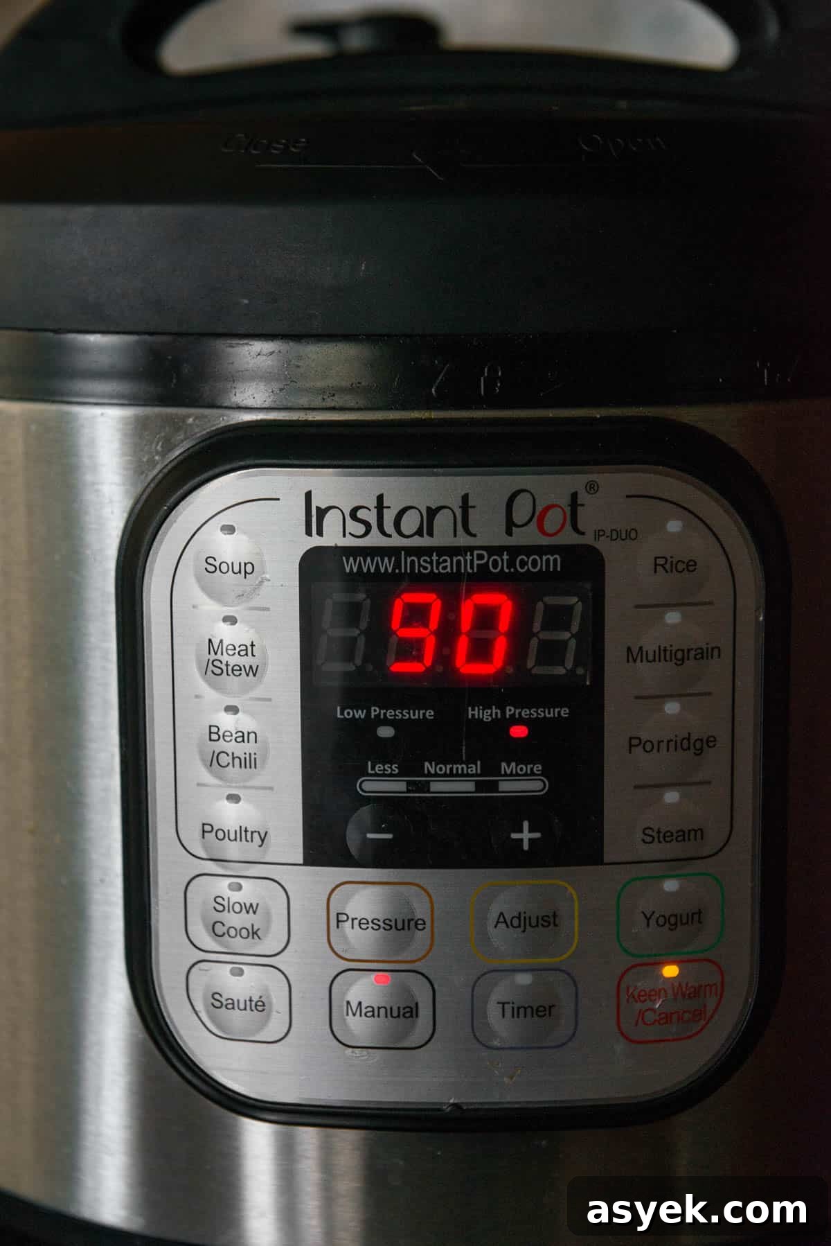 Instant Pot with 90 minutes