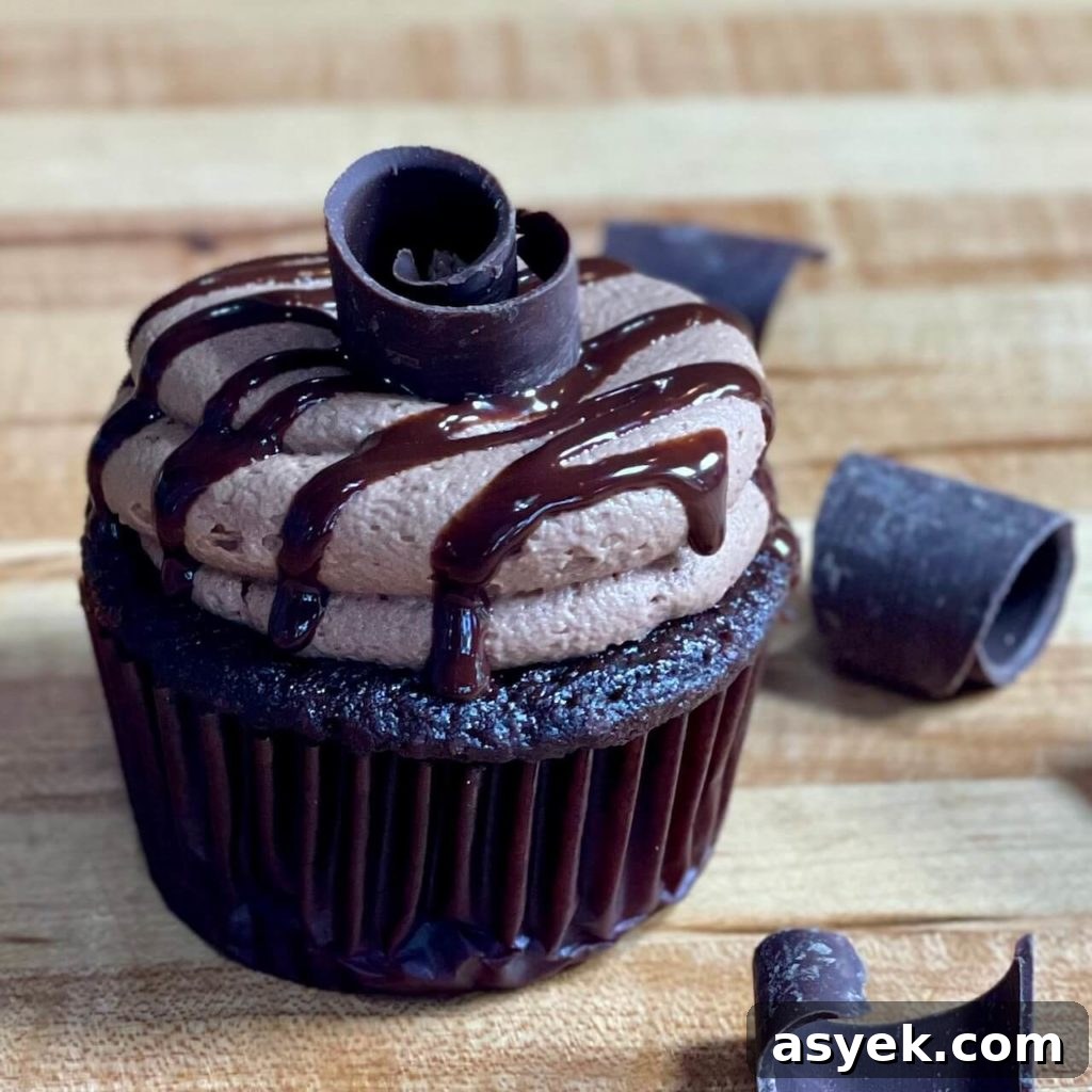 Double Chocolate Cupcakes