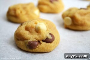 Vanilla Pudding Cookies are soft yet dense, chewy and thick cookies using vanilla pudding mix and cream cheese to add to the pudding like texture of the cookies. #vanillapuddingcookies #glutenfreecookies #vanillapudding