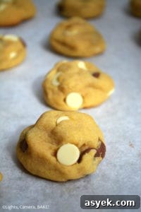 Vanilla Pudding Cookies are soft yet dense, chewy and thick cookies using vanilla pudding mix and cream cheese to add to the pudding like texture of the cookies. #vanillapuddingcookies #glutenfreecookies #vanillapudding