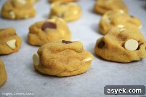 Vanilla Pudding Cookies are soft yet dense, chewy and thick cookies using vanilla pudding mix and cream cheese to add to the pudding like texture of the cookies. #vanillapuddingcookies #glutenfreecookies #vanillapudding