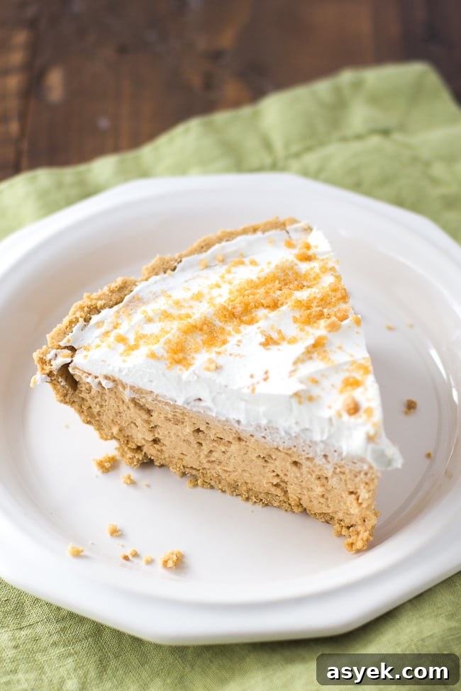 Reese's Peanut Butter Pie Recipe
