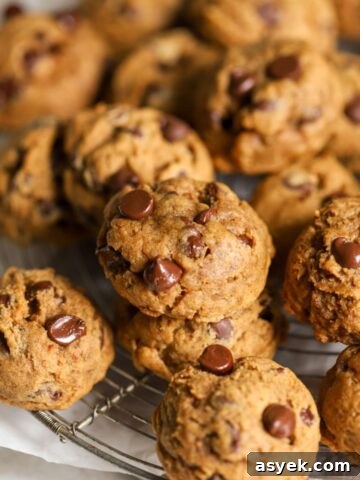 Pumpkin chocolate chip cookies