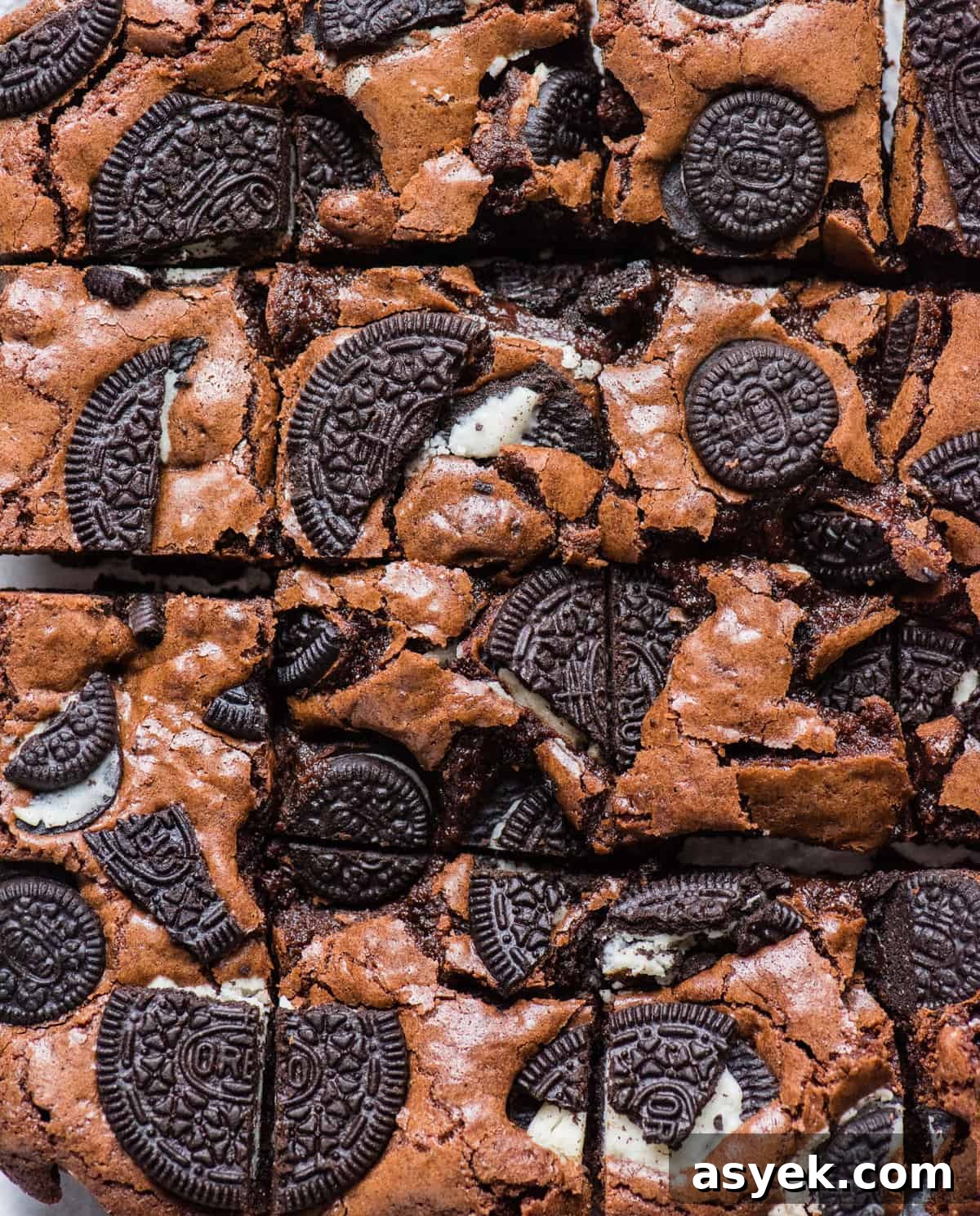 homemade brownies with oreo cookie pieces baked on top cut into squares