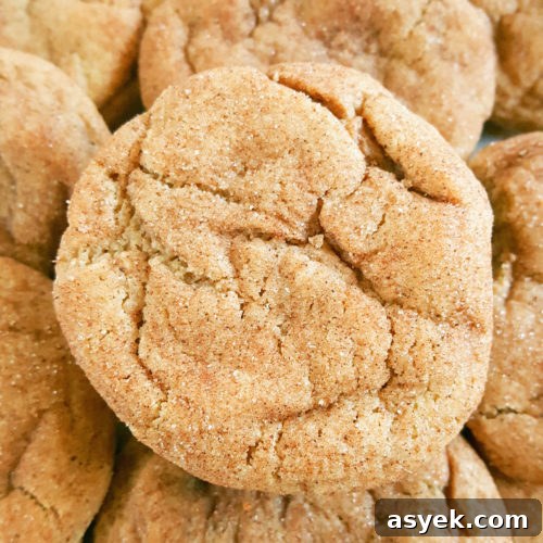 Chewy Cream Cheese Snickerdoodles - These egg free cinnamon cream cheese cookies are pleasantly chewy and so easy to make. This is a no chill recipe without cream of tartar. | Beat Bake Eat