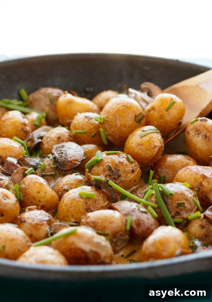 Over 25 Mushroom Recipes: Soups, Pastas, Mains 17 Roasted Baby Potatoes in a Homemade Mushroom Sauce | 25+ mushroom recipes