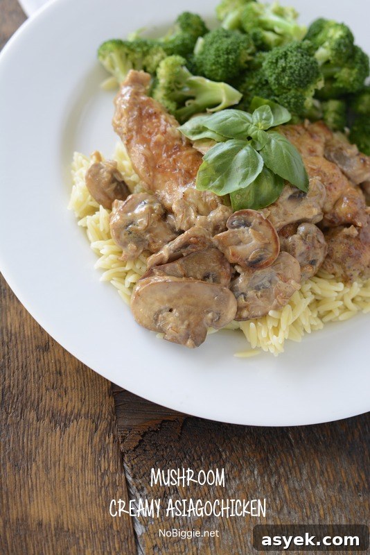 Over 25 Mushroom Recipes: Soups, Pastas, Mains 2 Creamy Mushroom Asiago Chicken | 25+ mushroom recipes