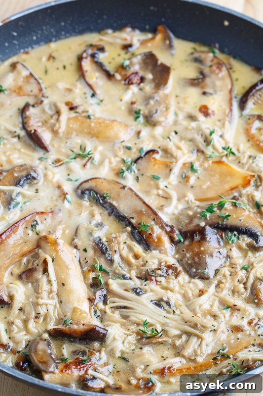Over 25 Mushroom Recipes: Soups, Pastas, Mains 21 Creamy Brie Mushroom Sauce | 25+ mushroom recipes