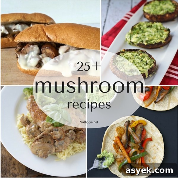 Over 25 Mushroom Recipes: Soups, Pastas, Mains 29 25+ mushroom recipes | NoBiggie.net