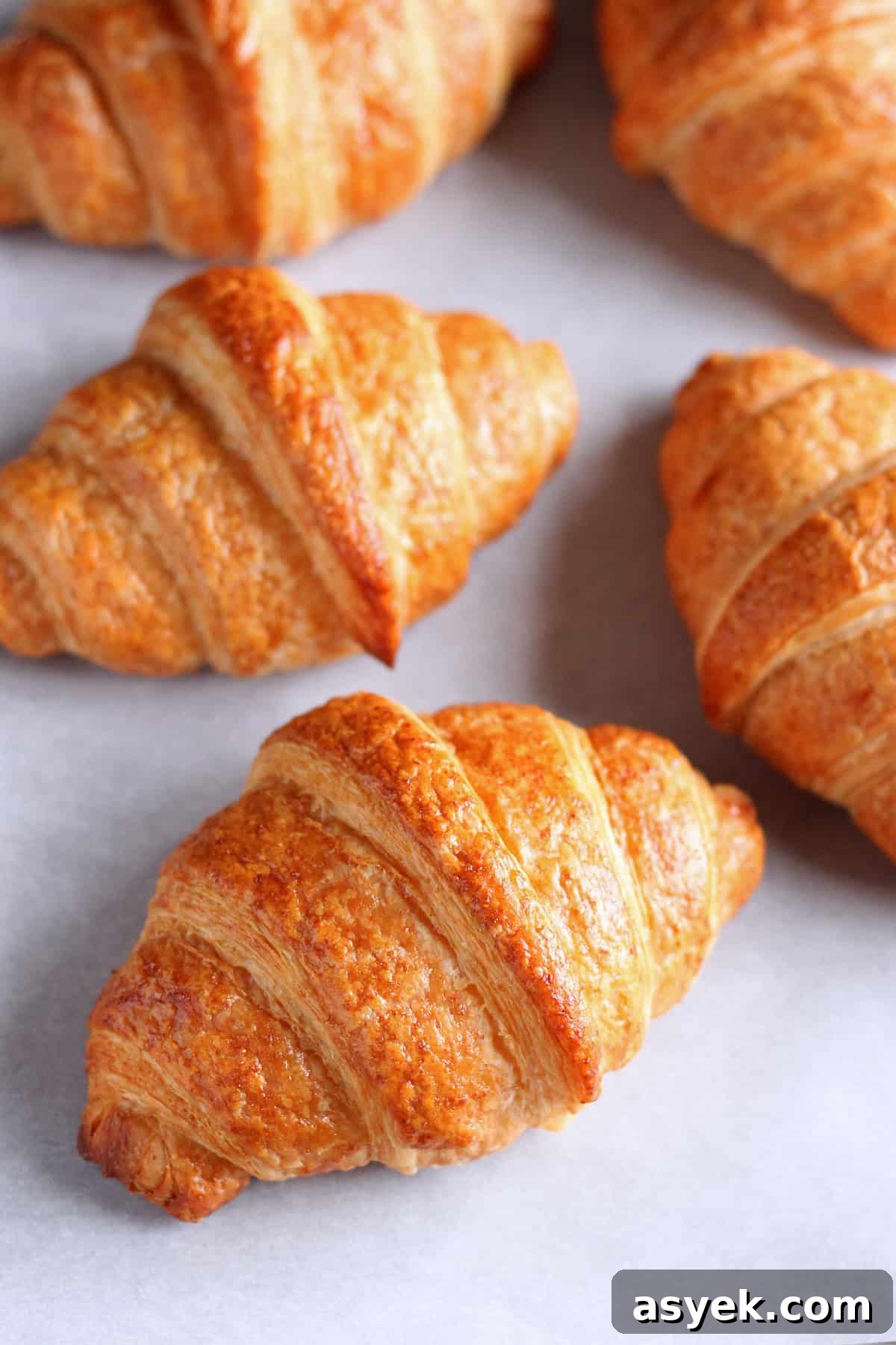 Making croissant is indeed hard work. But I can guarantee there is no better feeling than the one you will have while biting into a warm flaky buttery homemade croissant fresh from your own oven. Let's learn how to make croissant! My French croissant recipe after baking on a parchment-lined baking sheet.