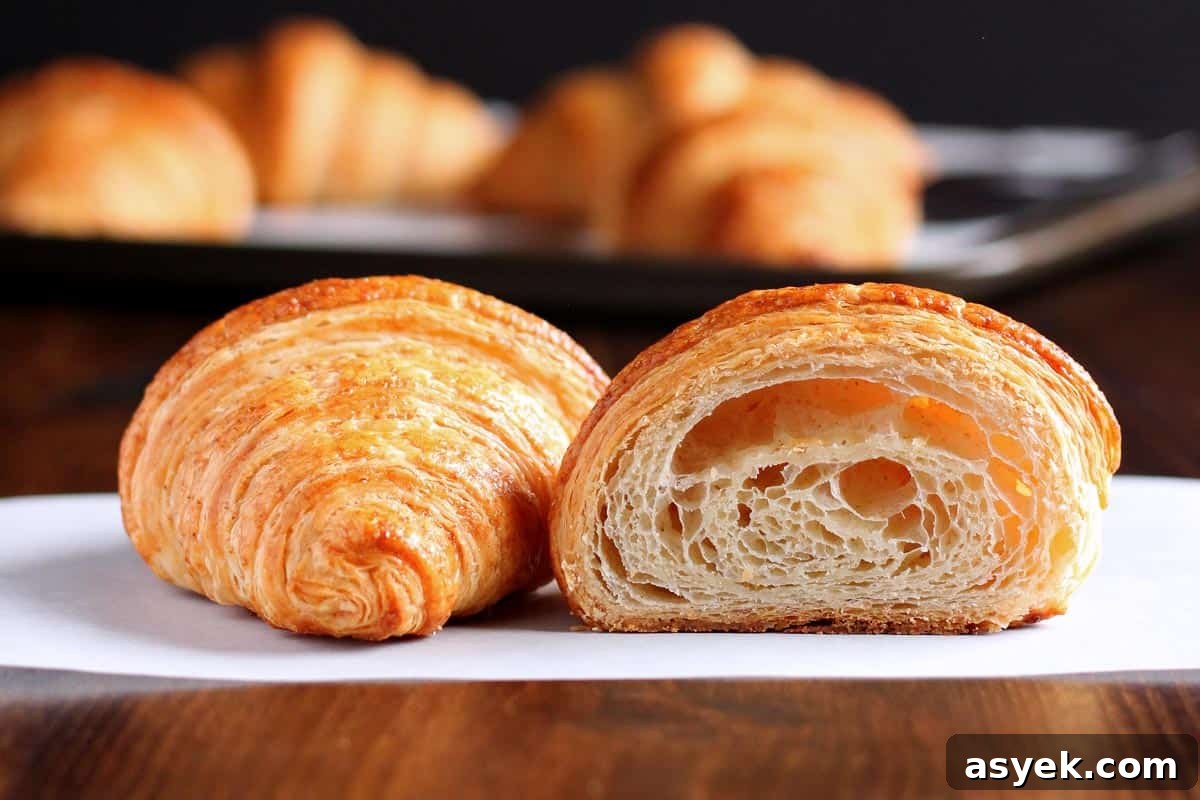 How to Make Butter Croissants at Home — Croissant Series Part 1 2 A side view of a butter croissant cut open to show the crumbs.