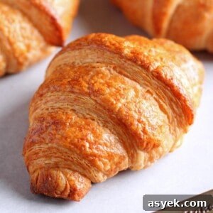 How to Make Butter Croissants at Home — Croissant Series Part 1 16 My French croissant recipe after baking.