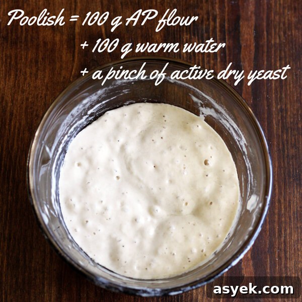 How to Make Butter Croissants at Home — Croissant Series Part 1 4 An overhead image showing the finished poolish with text.