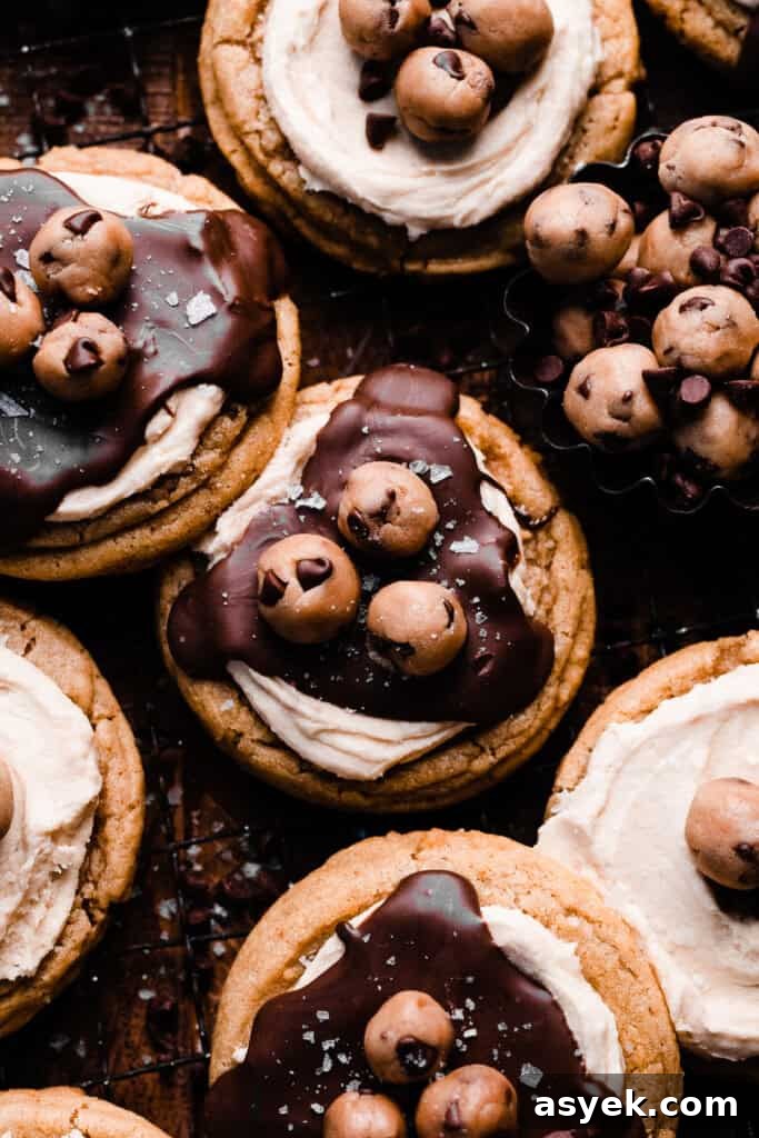 A close-up of the decorated cookie dough cookies on a dark backdrop.