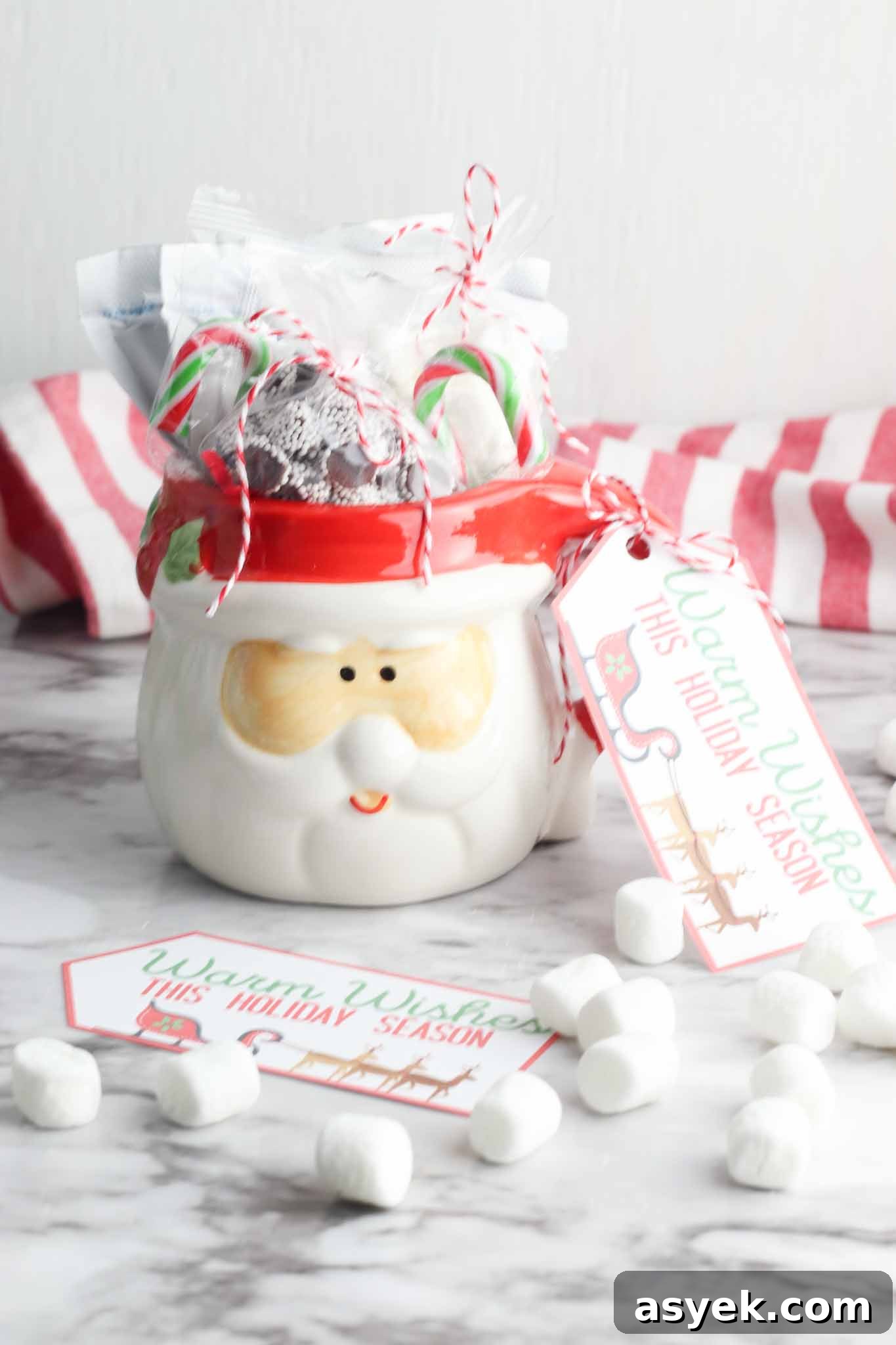 Hot Chocolate Mug Gift
