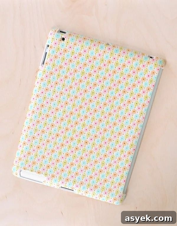IPAD Case