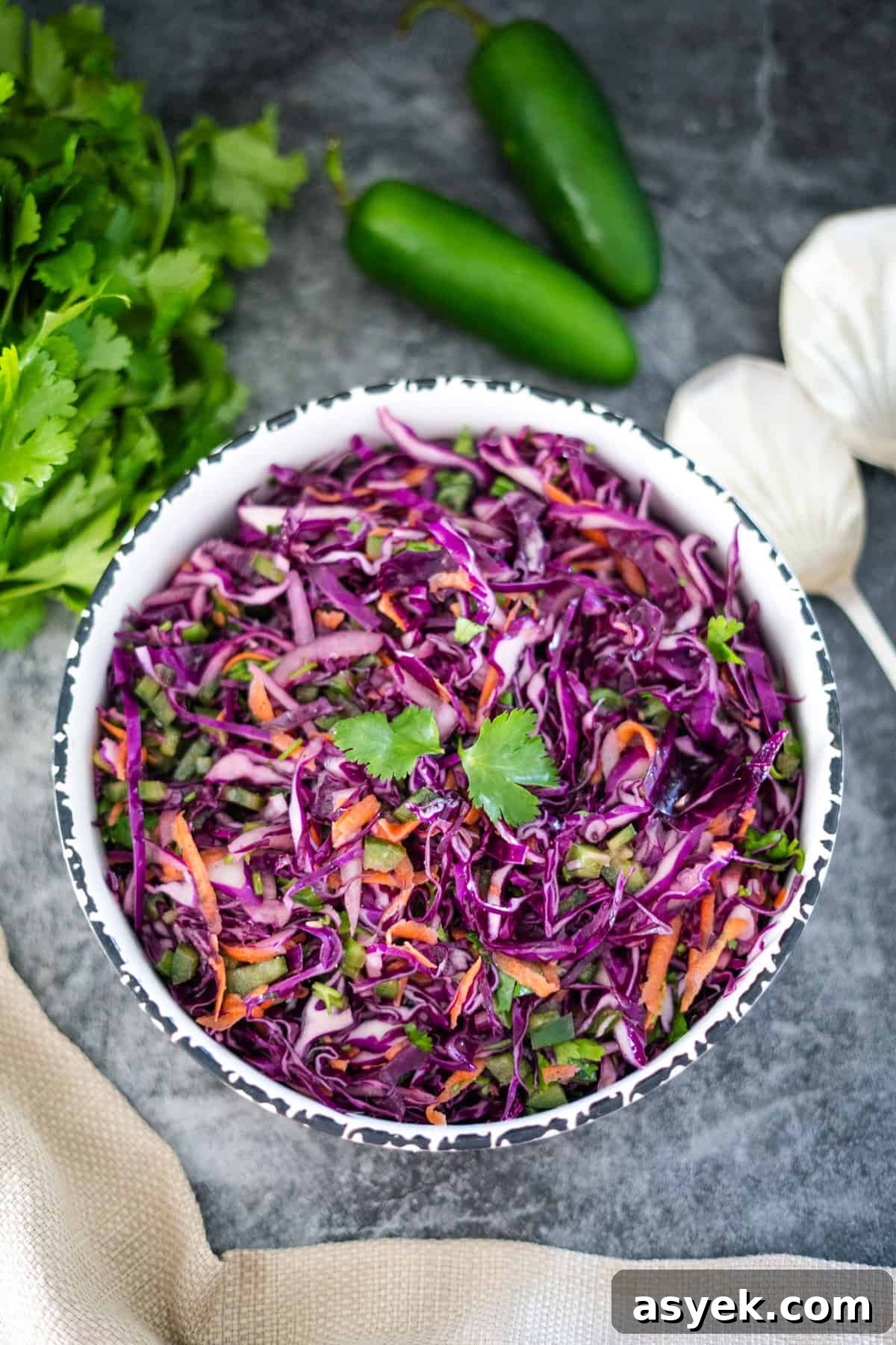Purple Cabbage Coleslaw Recipe with Zesty Dressing 2 A bowl of purple coleslaw with vegetables.